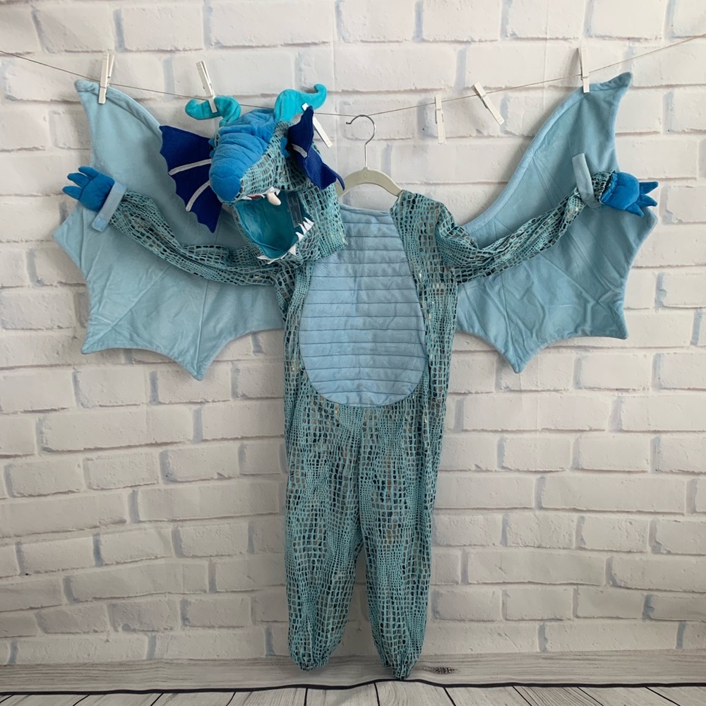 Pottery barn blue dragon costume